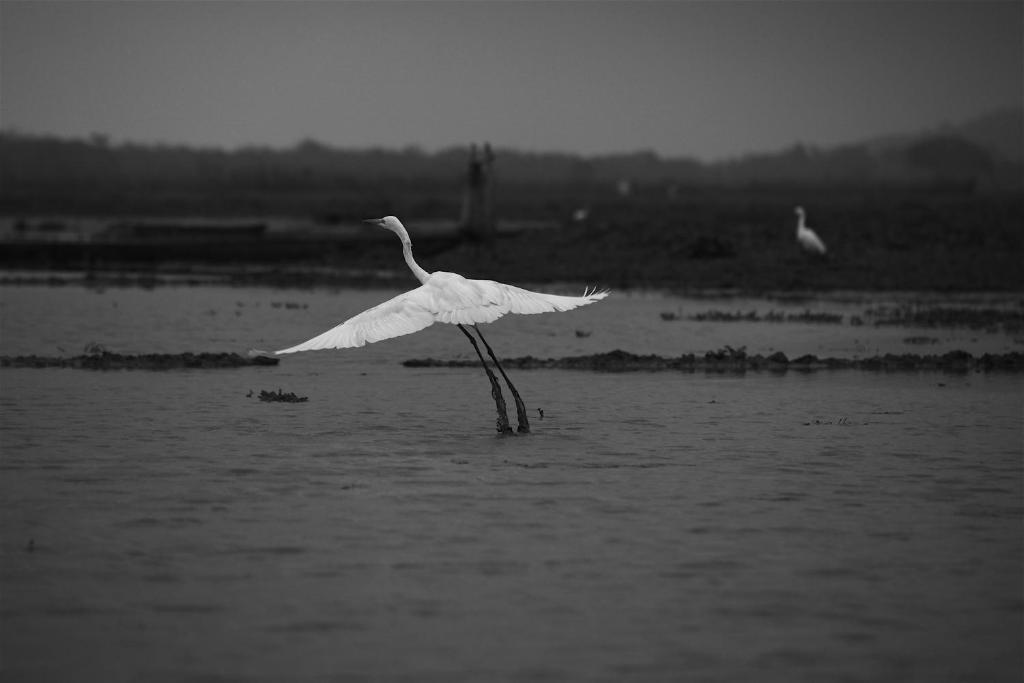 Swaraj Resorts Bharatpur Kültér fotó